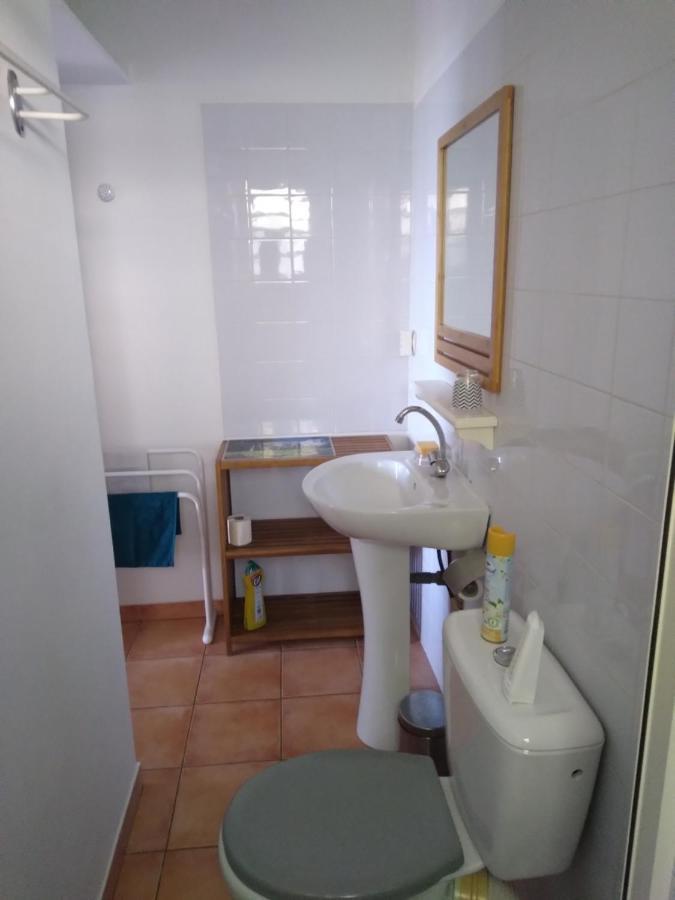 Studio Aux Avirons Pour 2 Personnes, Avec Piscine Les Avirons Экстерьер фото